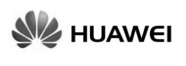 CPE Router Huawei