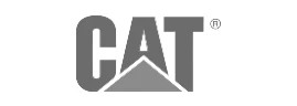 Caterpillar