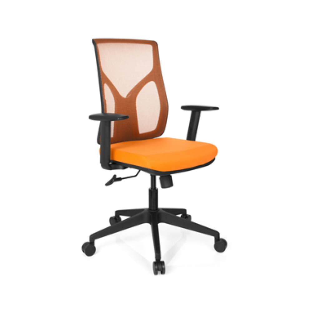 Oficina y Ergonomía